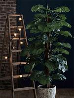 Монстера на опоре искусственная W25 H180 см