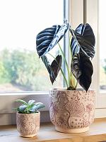 Кашпо Emilia pot pink D8 H8 см