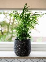 Кашпо Tina pot terrazo black D18 H15 см