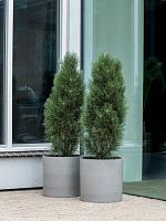 Кашпо Refined max l clouded grey D50 H49 см