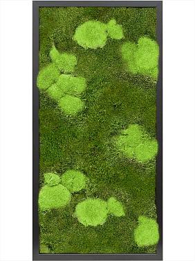 Картина из мха mdf ral 9005 satin gloss 30% ball- and 70% flat moss Картина из мха mdf ral 9005 satin gloss 30% ball- and 70% flat moss