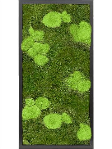 Картина из мха mdf ral 9005 satin gloss 30% ball- and 70% flat moss