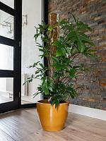 Кашпо Sven pot mustard D20 H19 см