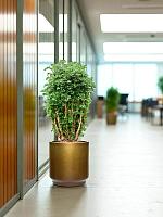 Кашпо Baq gradient cylinder matt honey (met inzetbak) D40 H40 см