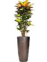 Кашпо Plain partner sepia D36 H70 см