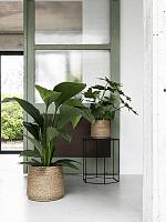 Кашпо Bohemian patt m straw grass D25 H22 см Кашпо Bohemian patt m straw grass D25 H22 см