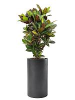 Кашпо Baq basic cylinder dark grey (mit einsatz) D40 H68 см