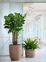 Кашпо Baq algar partner brown D55 H65 см