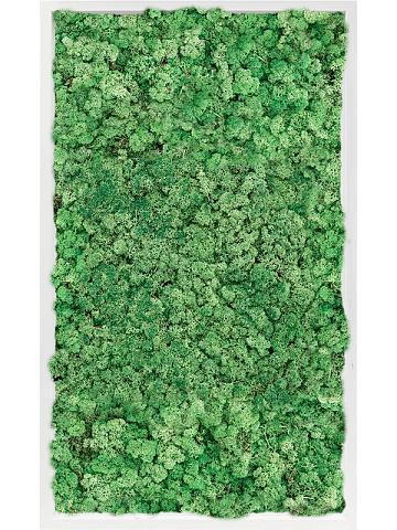 Картина из мха mdf ral 9010 satin gloss 100% reindeer moss (grass green) Картина из мха mdf ral 9010 satin gloss 100% reindeer moss (grass green)