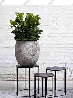 Кашпо Oyster gillard s imperial white D45 H45 см