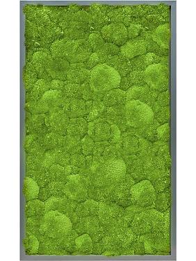 Картина из мха mdf ral 7016 satin gloss 100% ball moss Картина из мха mdf ral 7016 satin gloss 100% ball moss
