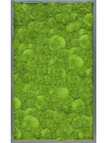 Картина из мха mdf ral 7016 satin gloss 100% ball moss