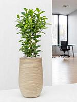 Кашпо Baq dune partner beige D35 H55 см