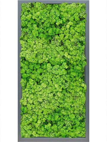 Картина из мха mdf ral 7016 satin gloss 100% reindeer (light grass green) Картина из мха mdf ral 7016 satin gloss 100% reindeer (light grass green)