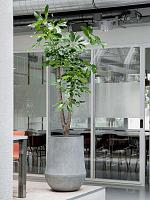 Кашпо Baq polystone coated plain darcy raw grey D62 H60 см Кашпо Baq polystone coated plain darcy raw grey D62 H60 см