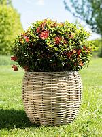 Кашпо Jet pot natural (набор 3 шт) D55 H46 см Кашпо Jet pot natural (набор 3 шт) D55 H46 см