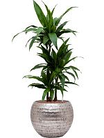 Кашпо Baq opus hammered globe silver (с техническим горшком) D40 H32 см