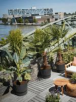 Кашпо с поддоном Greenville round living black D30 H27 см