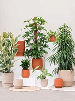 Кашпо Humus pot terra D30.5 H36 см