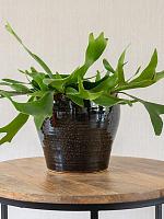 Кашпо Nia pot night D19 H17 см