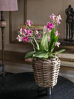 Кашпо Drypot rattan round with black feet D27 H42 см