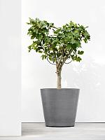 Кашпо Ecopots amsterdam wheels 80 grey D80 H75 см