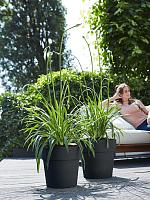 Кашпо Vibia straight round anthracite D47 H45 см Кашпо Vibia straight round anthracite D47 H45 см