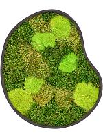 Картина из мха organic frame #1 earth mos (mix) L40 W35 H5 см