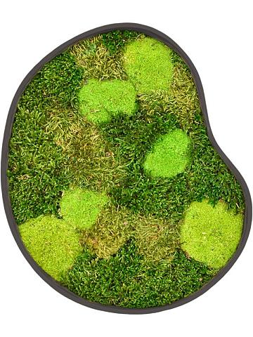 Картина из мха organic frame #1 earth mos (mix)