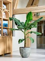 Кашпо Baq sandora couple green D45 H42 см