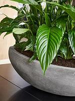 Кашпо Baq polystone plain boat grey L46 W20 H13 см