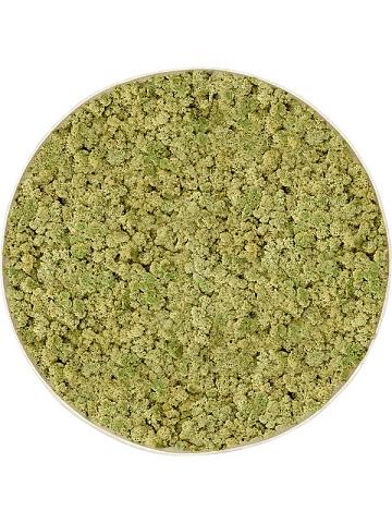 Картина из мха nova frame antique white-concrete 100% reindeer (oldgreen) Картина из мха nova frame antique white-concrete 100% reindeer (oldgreen)