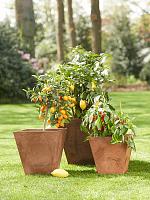 Кашпо Artstone ella pot oak L35 W35 H34 см