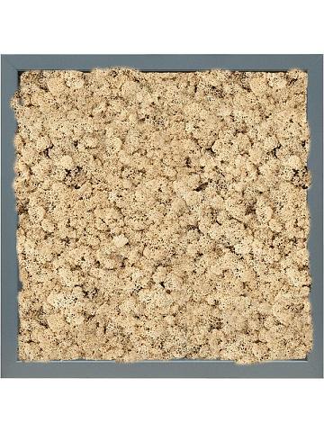 Картина из мха mdf ral 7016 satin gloss 100% reindeer (natural) Картина из мха mdf ral 7016 satin gloss 100% reindeer (natural)