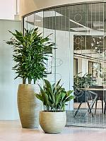 Кашпо Baq dune globe green D37 H29 см Кашпо Baq dune globe green D37 H29 см