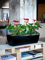 Кашпо Baq ecoline phoenix regular rectangle L60 W20 H18 см