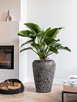 Кашпо Baq lava coppa relic black D50 H68 см Кашпо Baq lava coppa relic black D50 H68 см