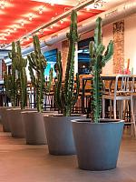 Кашпо Fiberstone bucket m grey D58 H50 см