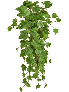 Плющ зеленый ампельный искусственный Плющ зеленый ампельный искусственный