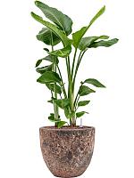 Кашпо Baq lava couple relic pink D36 H34 см Кашпо Baq lava couple relic pink D36 H34 см