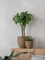 Кашпо Bohemian cody m straw grass D27 H26 см Кашпо Bohemian cody m straw grass D27 H26 см