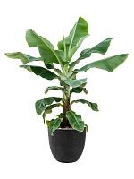 Кашпо Artstone bola pot black D38 H33 см