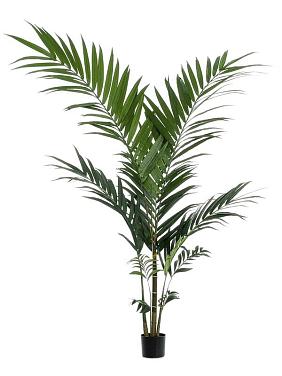 Пальма Кентия (Ховея) искусственная