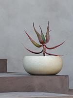 Кашпо Grigio low balloon 26 antique white D26 H13 см