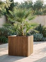 Кашпо Baq radia square natural (с техническим горшком) L38 W38 H38 см