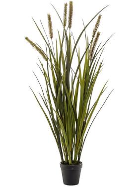 Рогоз (болотная трава) искусственная Рогоз (болотная трава) искусственная