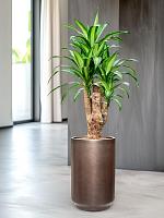 Кашпо Baq gradient cylinder matt coffee (с техническим горшком) D40 H60 см