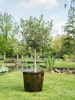 Кашпо Palermo pot marble brown D40 H36 см Кашпо Palermo pot marble brown D40 H36 см