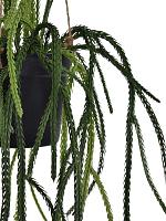 Ликоподиум ампельный в подвесном горшке искусственный H85 см