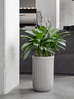 Кашпо Baq vertical rib cylinder beige D30 H47 см